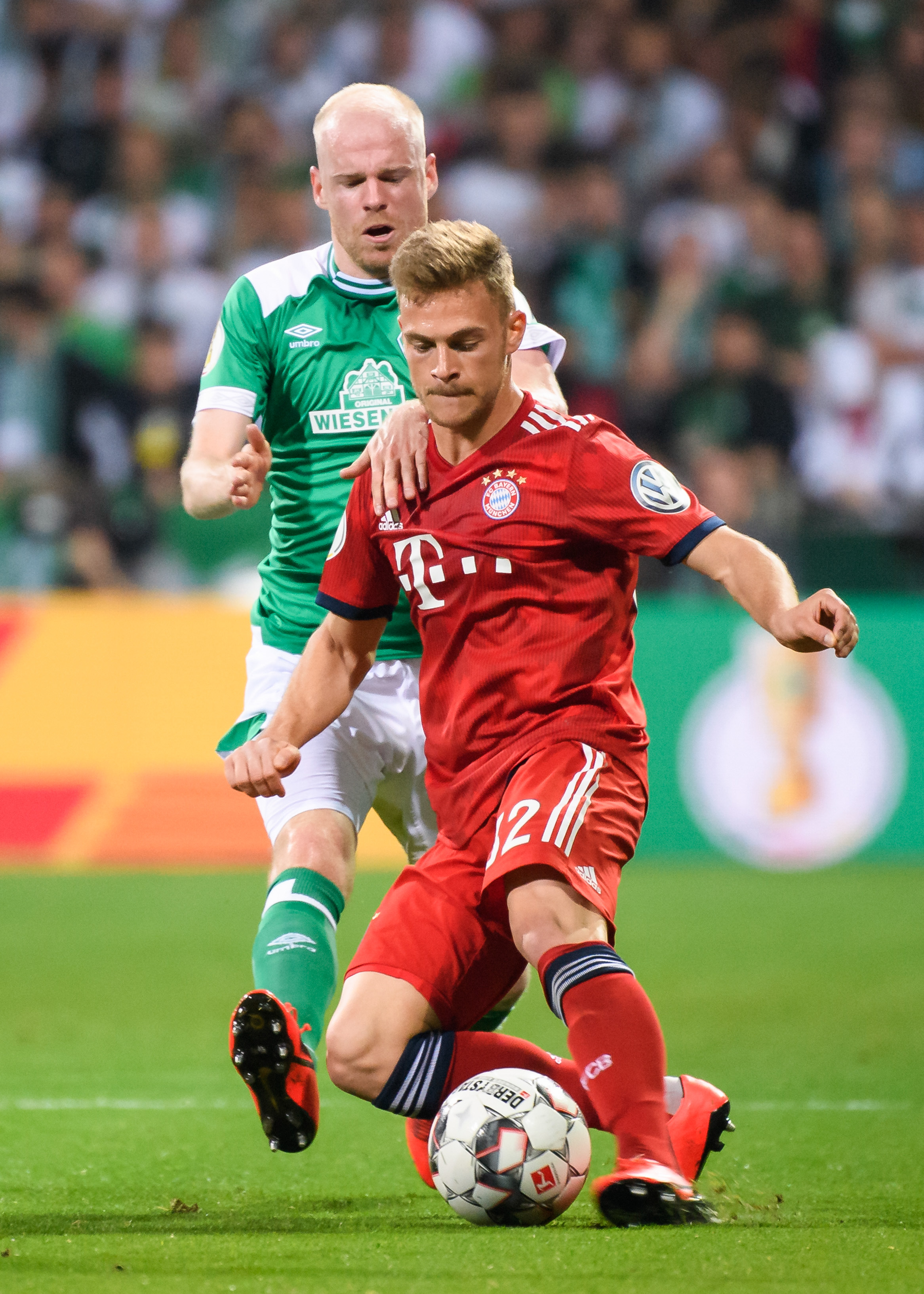 澳洲的资深 澳洲的资深