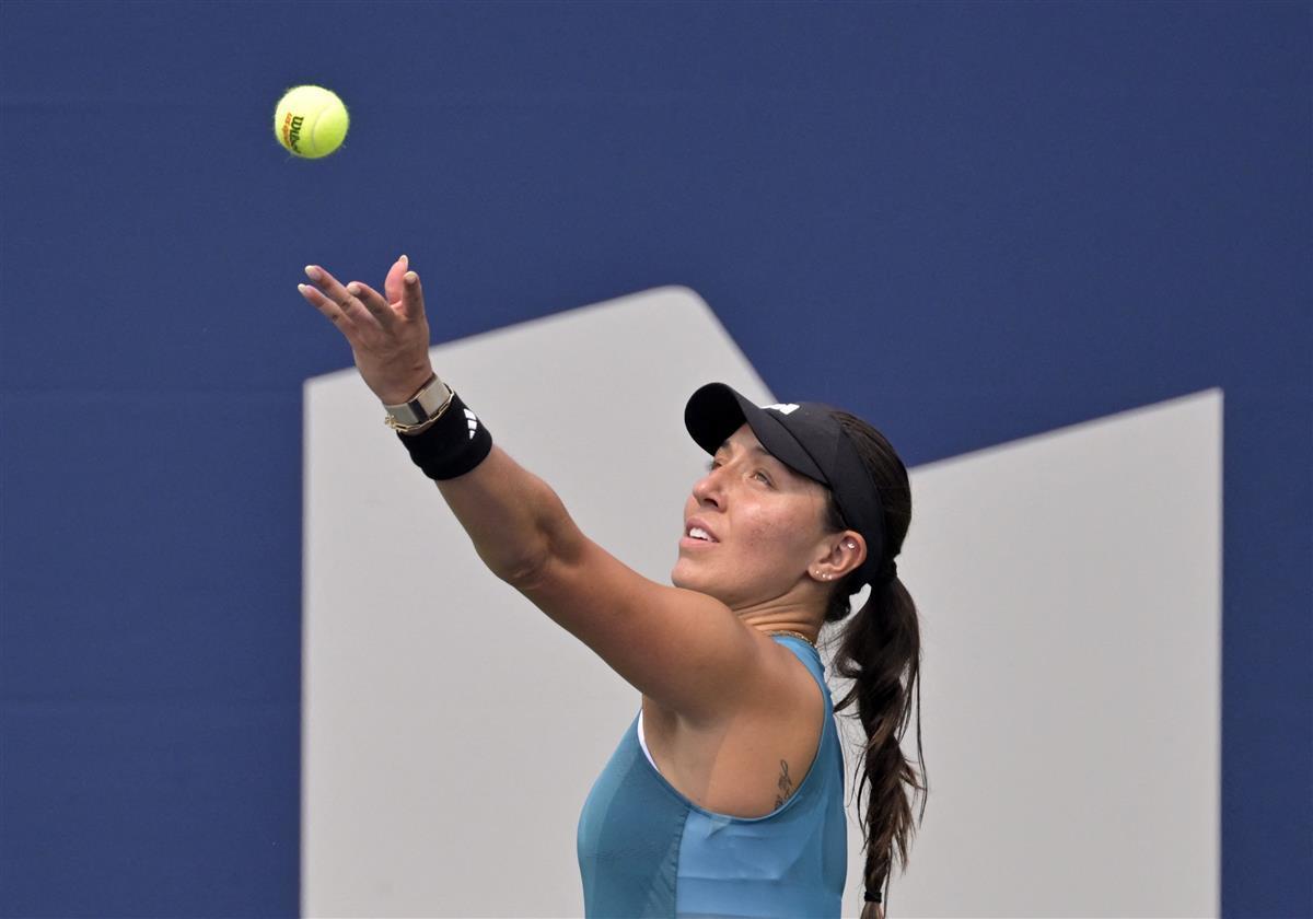 天津泰达面 天津泰达面