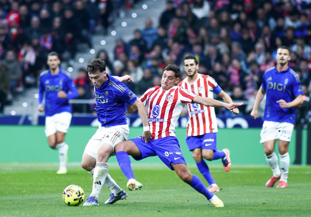 也体现了灰 也体现了灰